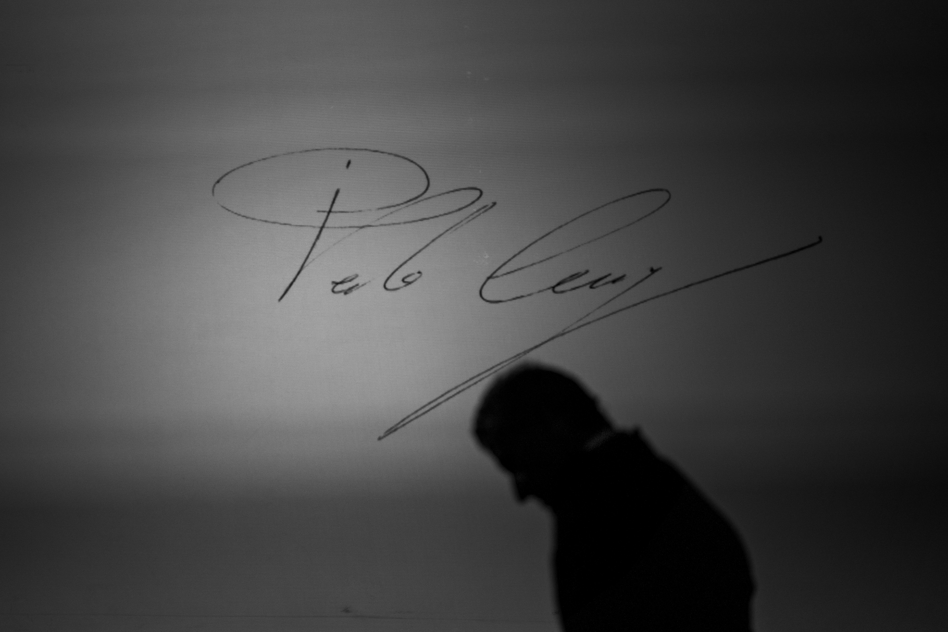 Firma di Luigi con silhouette